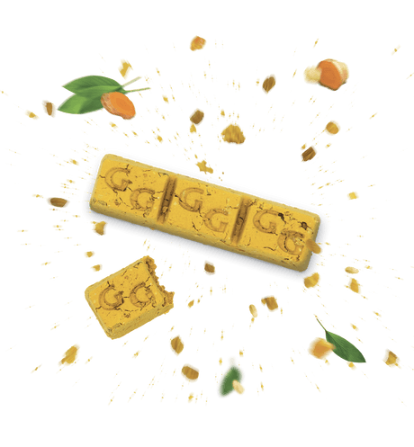 Guidolin Horses Equibar Mobility 2,5 kg