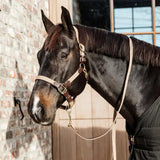 Cavezza modello Plaited Nylon beige Kentucky Cob