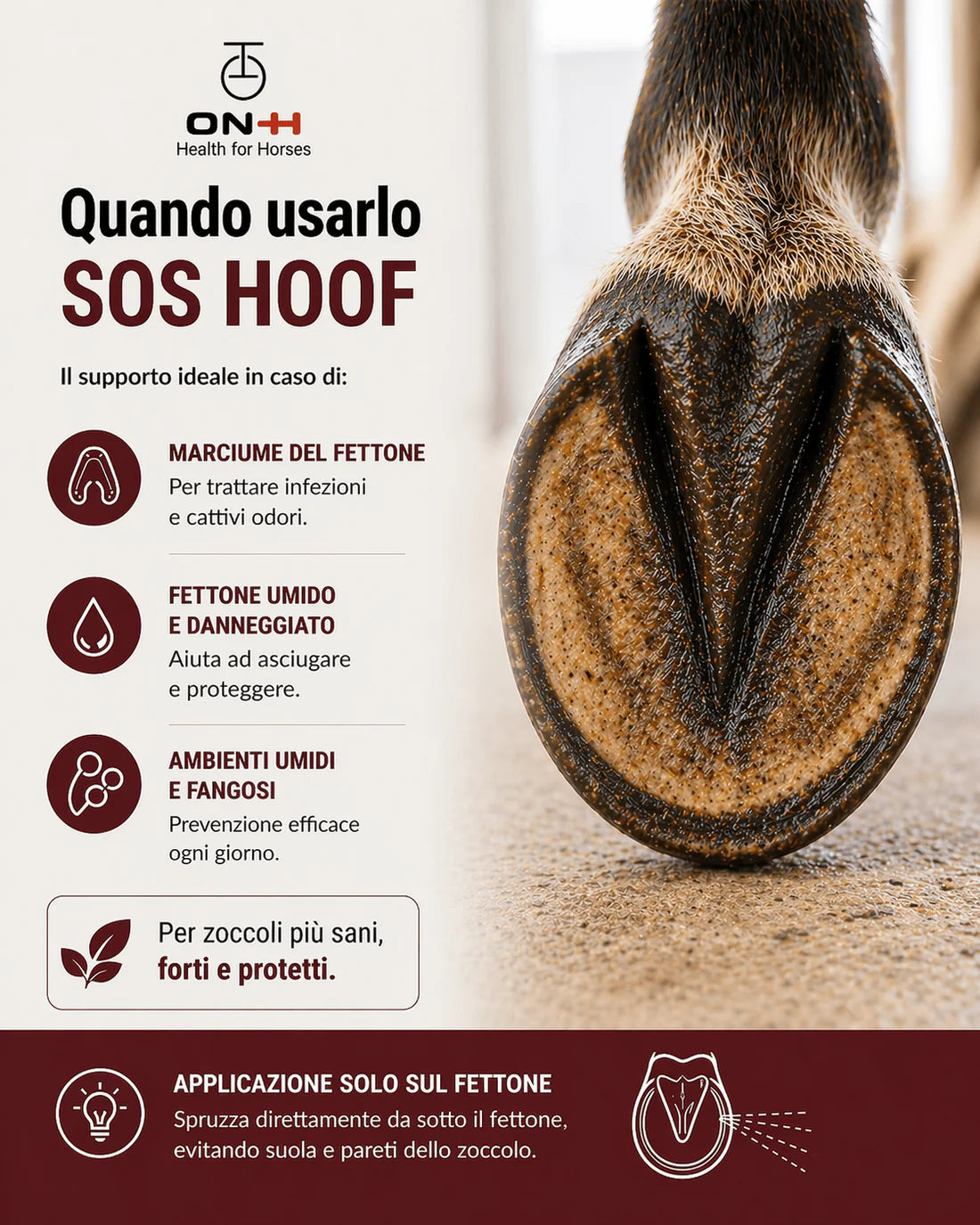 SOS Hoof | Igienizzante & Anti-marcimento 200ml