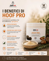 Hoof Pro | Grasso zoccoli 500gr