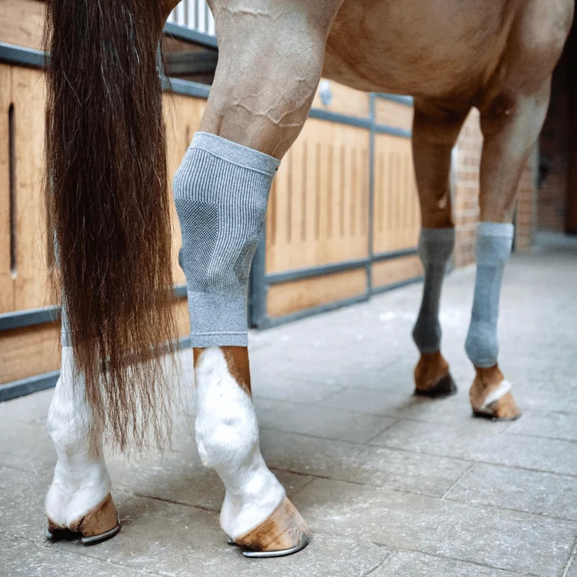 Circulation Hoof Socks Incrediwear Equine