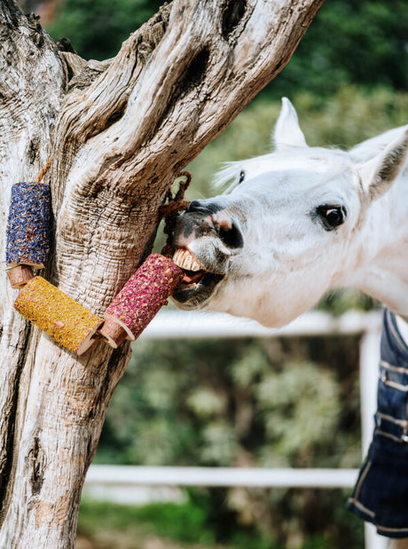HAPPINESS – Giocattolo da masticare in legno alle erbe per cavalli con oli essenziali