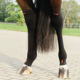 Incrediwear Equine Circulation Hock Sleeves