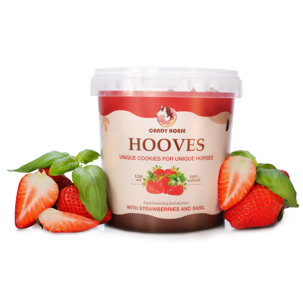 Grande scatola di biscotti per cavalli 1200ml Candy Horse