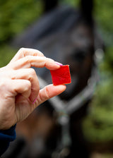 Caramelle gommose alla ciliegia e cardamomo Candy Horse