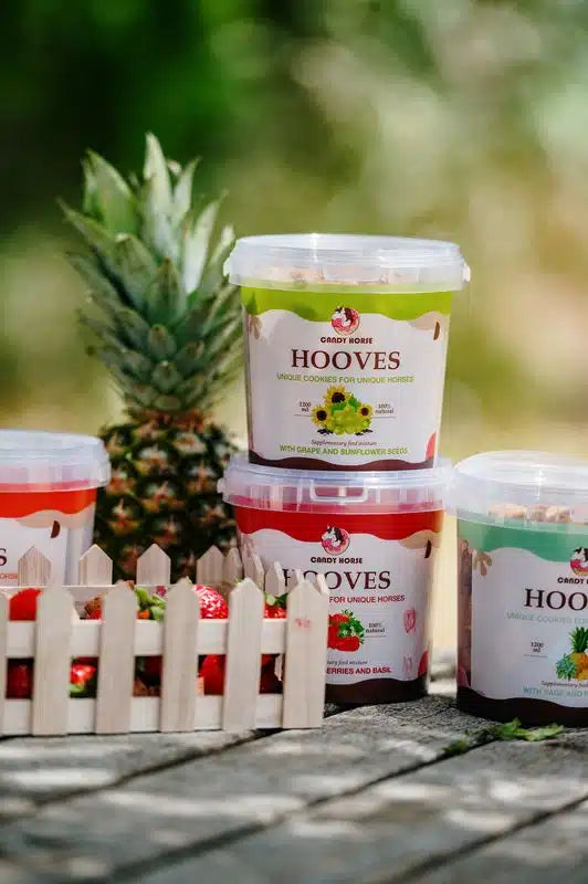 Grande scatola di biscotti per cavalli 1200ml Candy Horse
