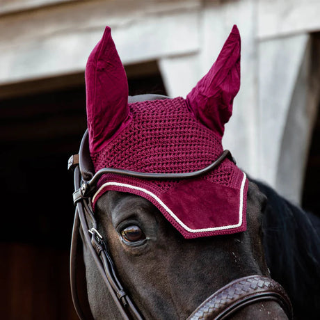 Cuffietta Wellington Velvet bordeaux Kentucky