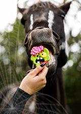 Biscotto edizione limitata Halloween ZOMBIE Candy Horse