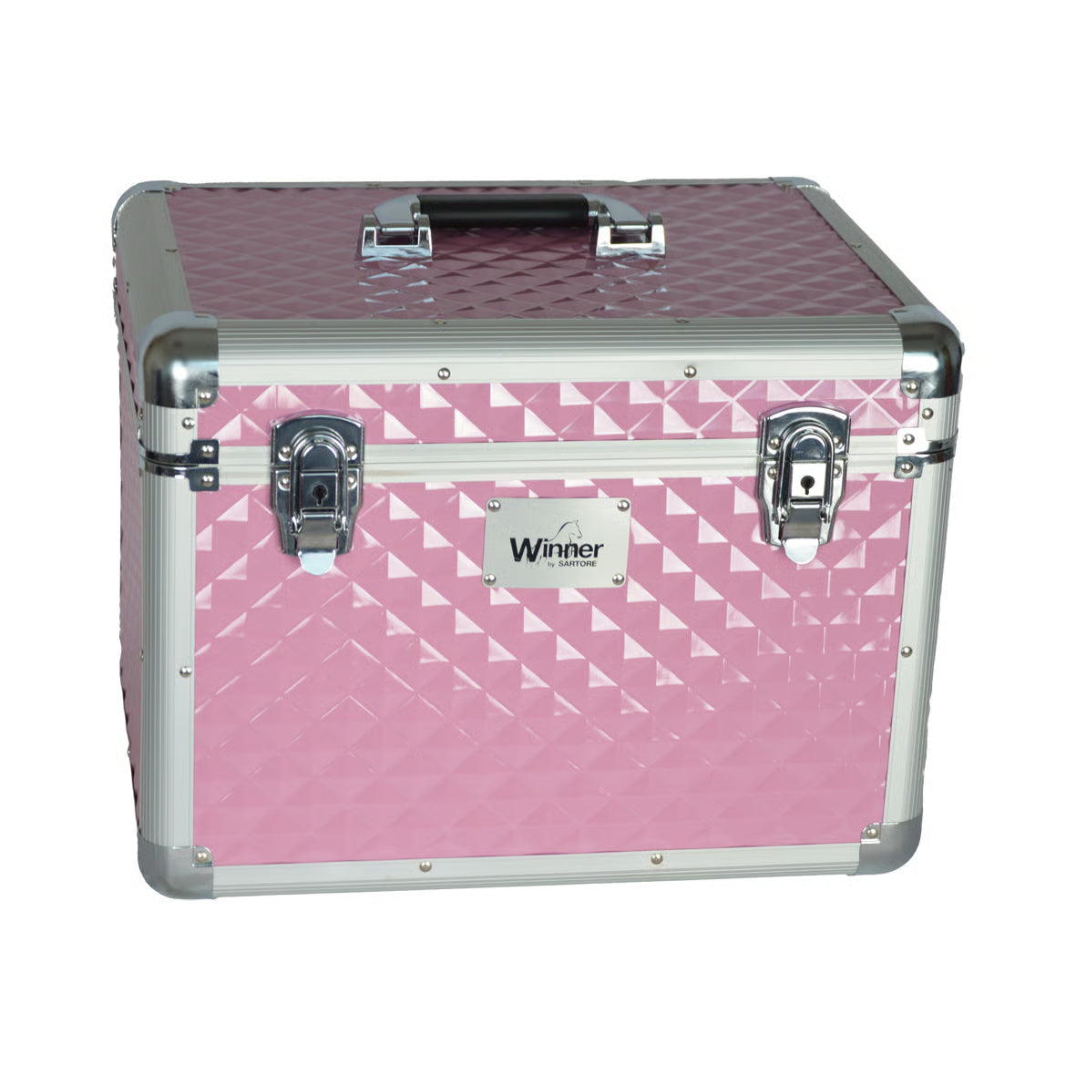 BAULETTO DIAMOND GROOMING AZZURRO 40X30X30 WINNER CON SEPARATORI