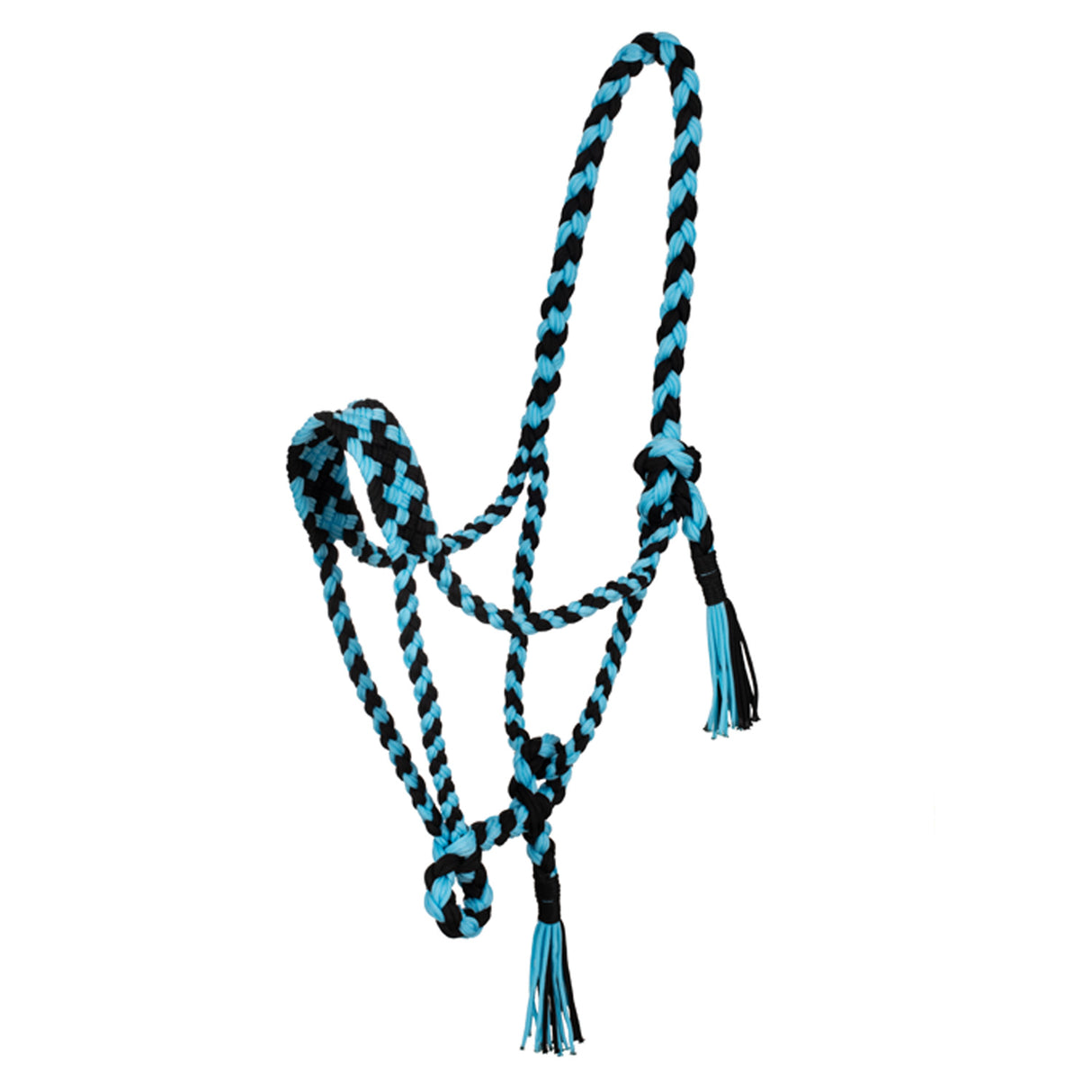 Cavezza in nylon intrecciato Pool's