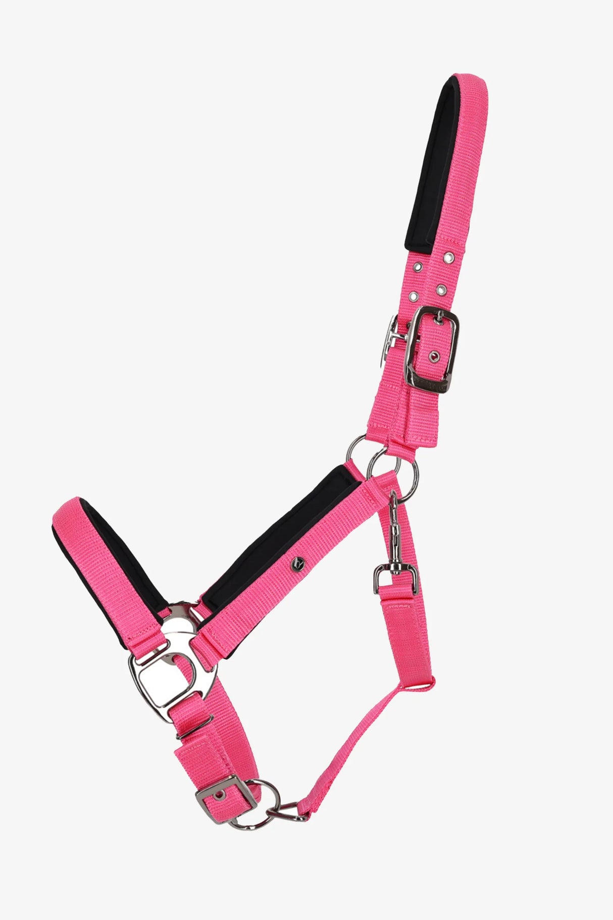 Capezza Deluxe QHP