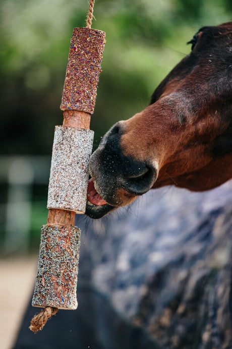 RELAX – Giocattolo da masticare in legno alle erbe per cavalli con oli essenziali