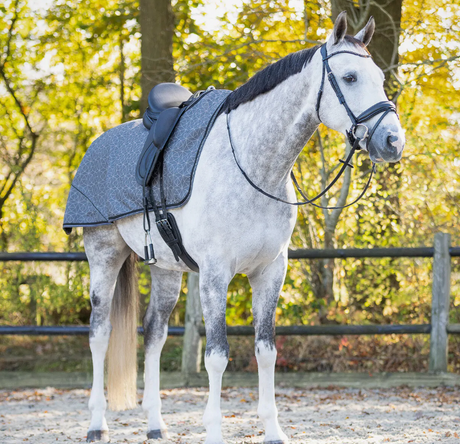 Coprireni 1200D impermeabile interno pile grigio