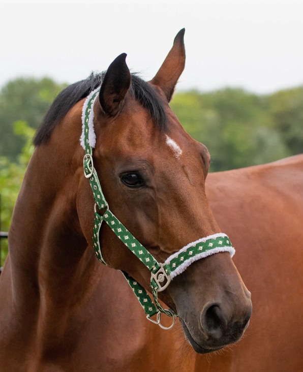 Capezza Natalizia QHP elfo