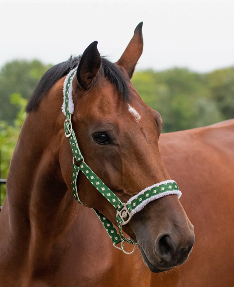 Capezza Natalizia QHP elfo