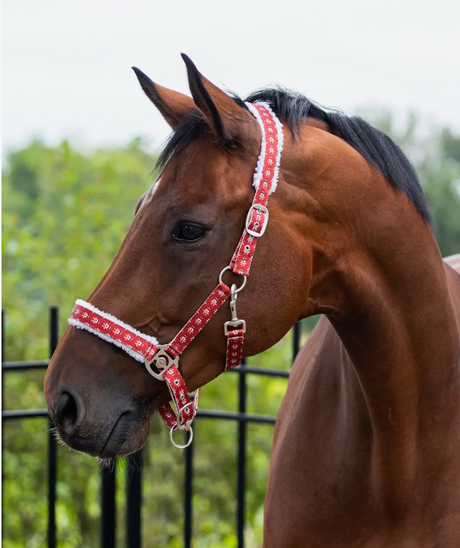 Capezza Natalizia QHP renne