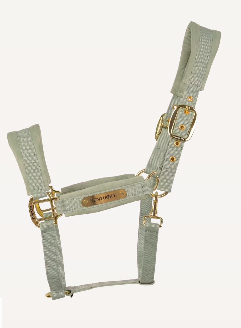 Capezza in velluto verde Kentucky