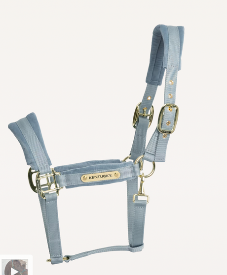 Capezza in velluto azzurro Kentucky