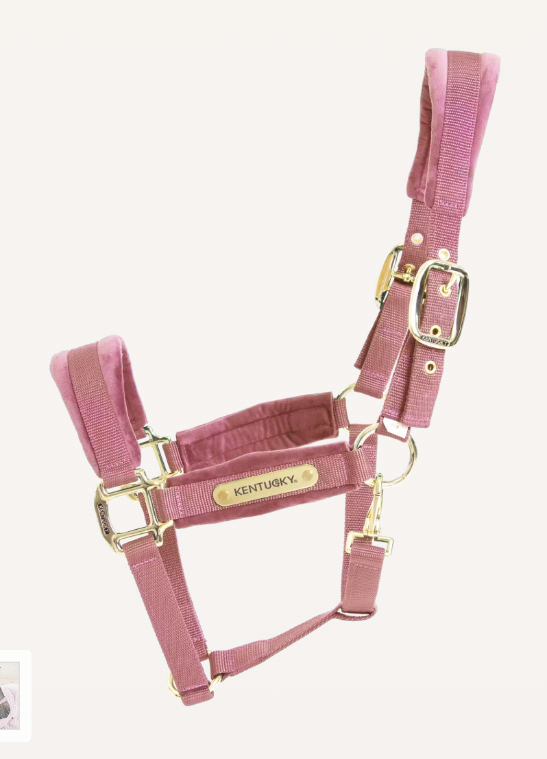 Capezza in velluto rosa Kentucky