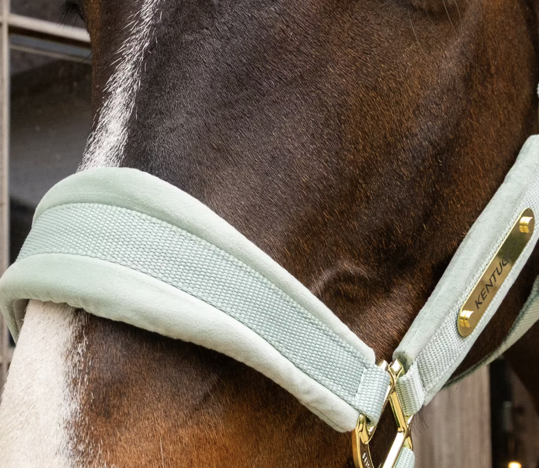 Capezza in velluto verde Kentucky