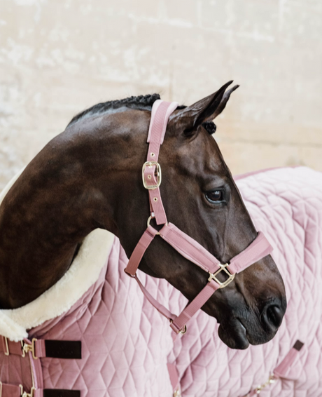 Capezza in velluto rosa Kentucky