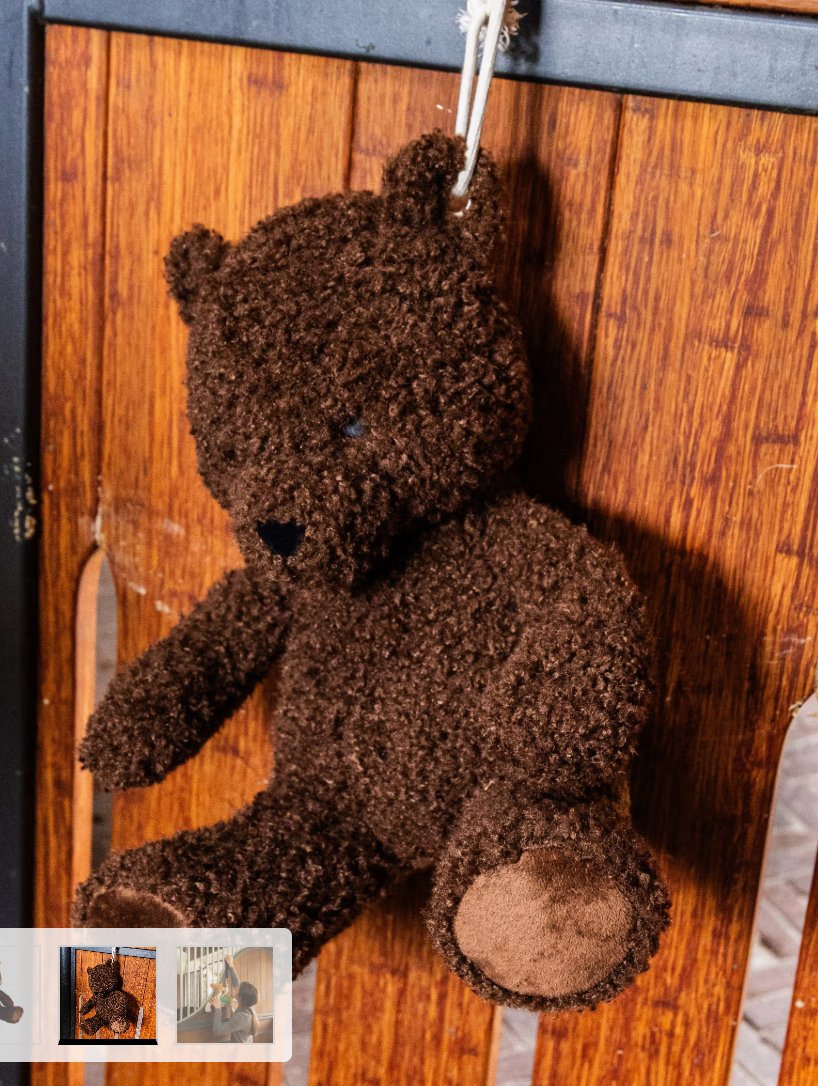Relax Horse Toy Bear