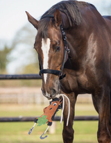 Horse toy 'Good luck' QHP