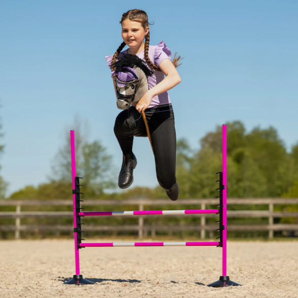 Ostacolo rosa per hobby horse QHP