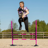 Ostacolo rosa per hobby horse QHP