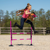 Ostacolo rosa per hobby horse QHP