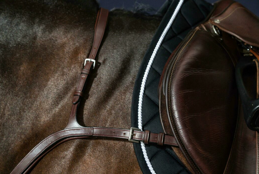 Pettorale Dy'On Long Bridge Breastplate nero