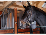 Rubber Ball Protection wall & lead Kentucky