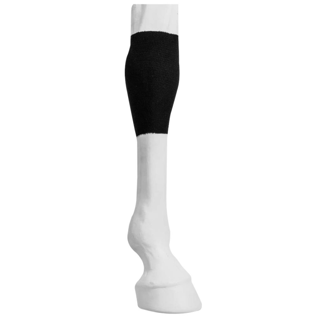 Tendon tube 5m One Equestrian