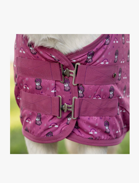 Coperta da box pony con interno in pile QHP