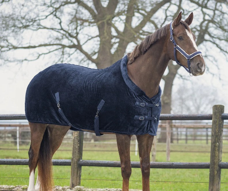 Show rug Sensisoft QHP