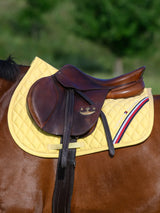 Stanford Springschabracke Giallo
