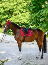 Sottosella Jumping Stanfond e cuffia Lexington Tommy Hilfiger REGATTA RED