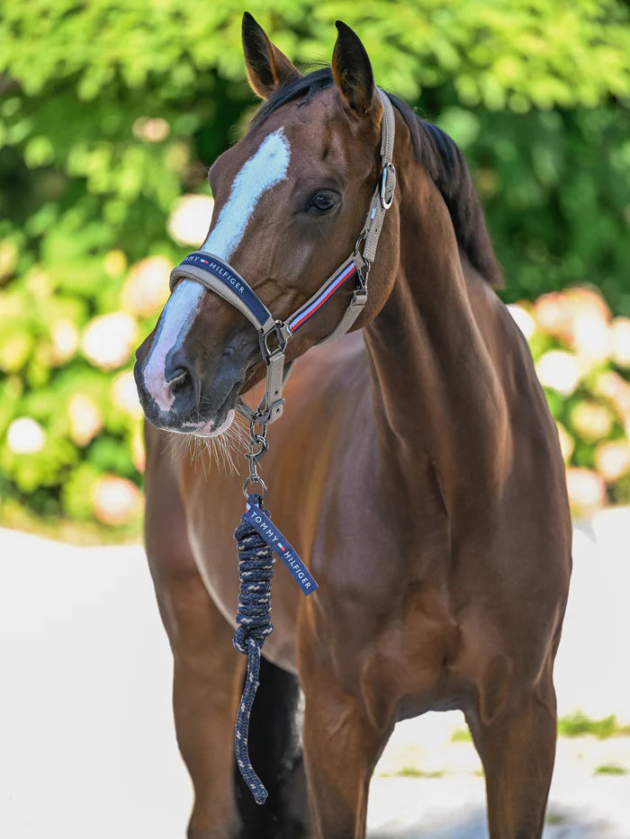 Set capezza e lunghina YALE Tommy Hilfiger