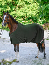 Coperta in pile Stanford PINE Tommy Hilfiger