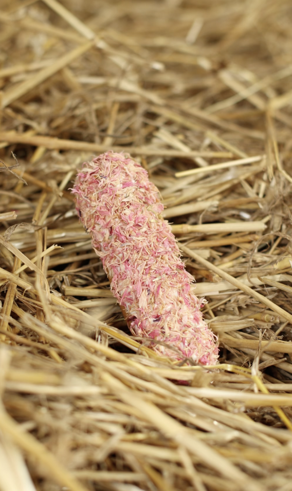 Biscotto per cavallo con glassa ed erbe aromatiche Candy Horse