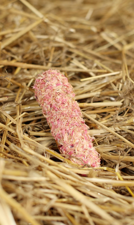 Eclair al fiordaliso rosa | Biscotto per cavallo con glassa ed erbe aromatiche Candy Horse