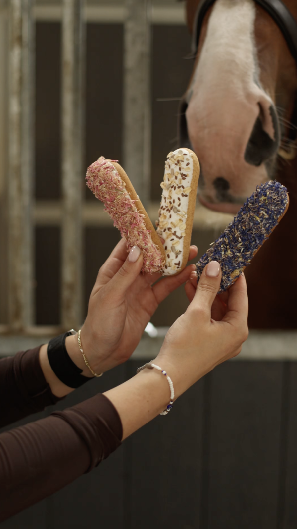 Biscotto per cavallo con glassa ed erbe aromatiche Candy Horse