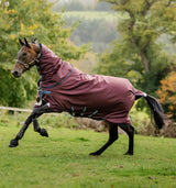 Coperta Amigo 1200D Plus Turnout 250g Horseware
