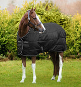 Coperta da Box Amigo® Insulator Medium 200g Horseware Nera