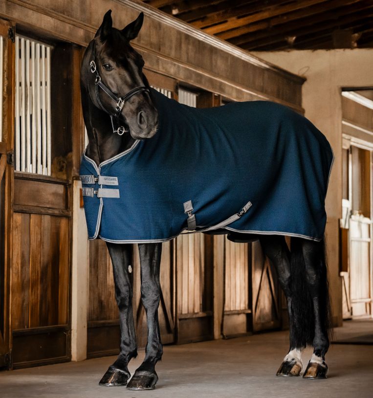 Coperta Horseware Rambo Techni Waffle Cooler