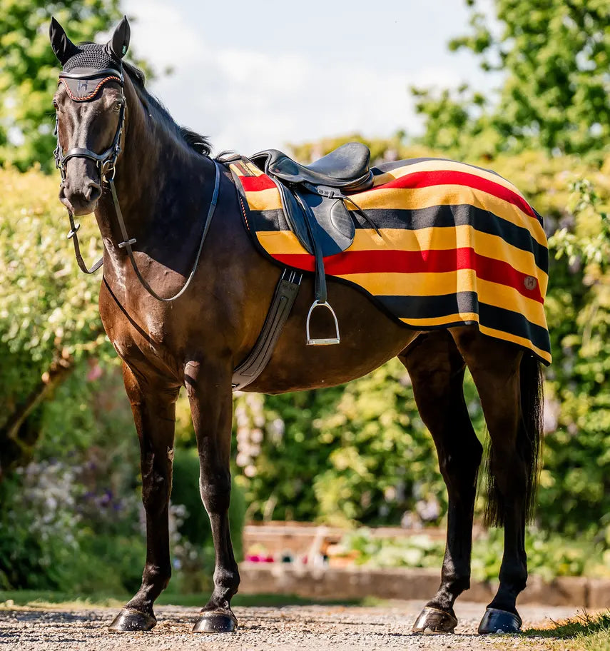 Coprireni in pile Newmarket Exercise Sheet Horseware