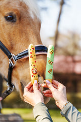 Set da 6 biscotti a forma di cavallo glassati in edizione limitata Candy Horse