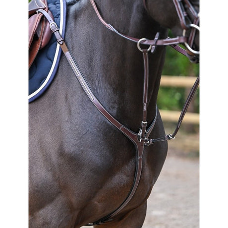 Clincher Pettorale e Martingala marrone- One Collection Premium Jump'in