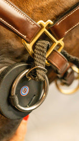 Trust Equestrian filetto in spugna