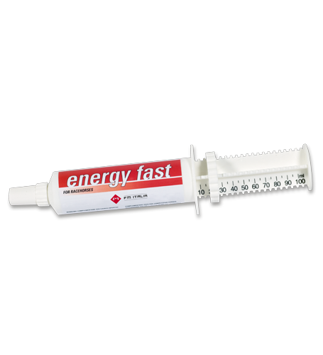 Energy fast siringa monouso 80gr FM Italia
